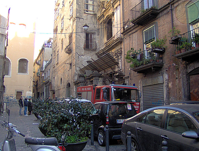 immagine Scorziata