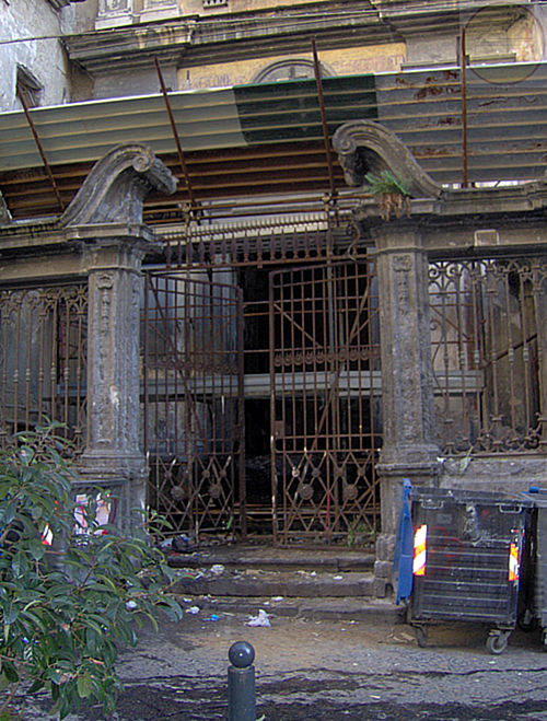 immagine Scorziata