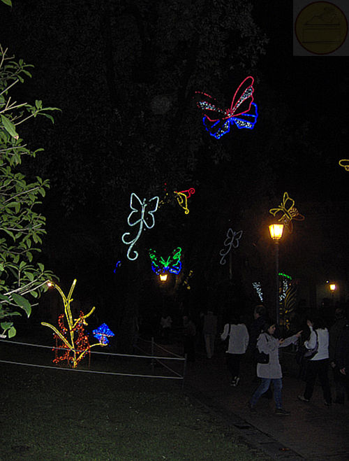 Luci d'artista a Salerno, edizione 2012