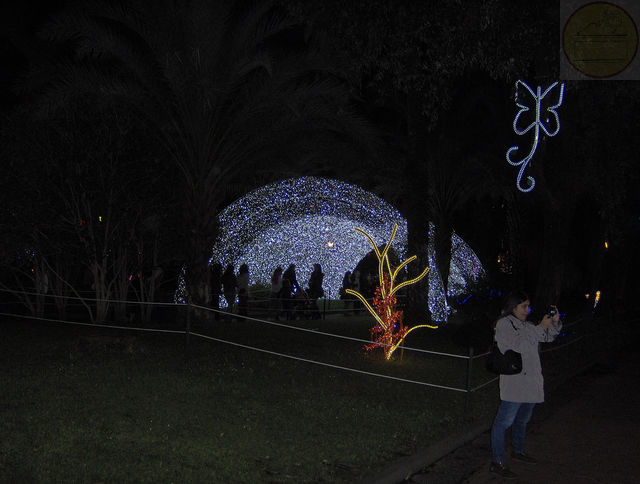 Luci d'artista a Salerno, edizione 2012