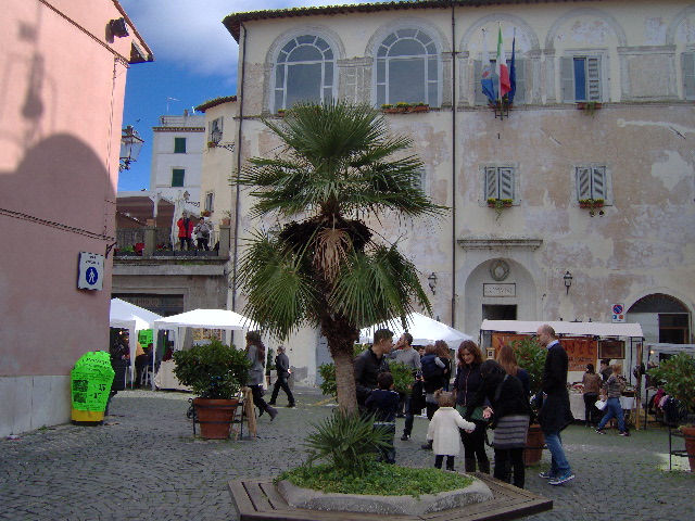Fiera di Natale Anguillara Sabazia 2013