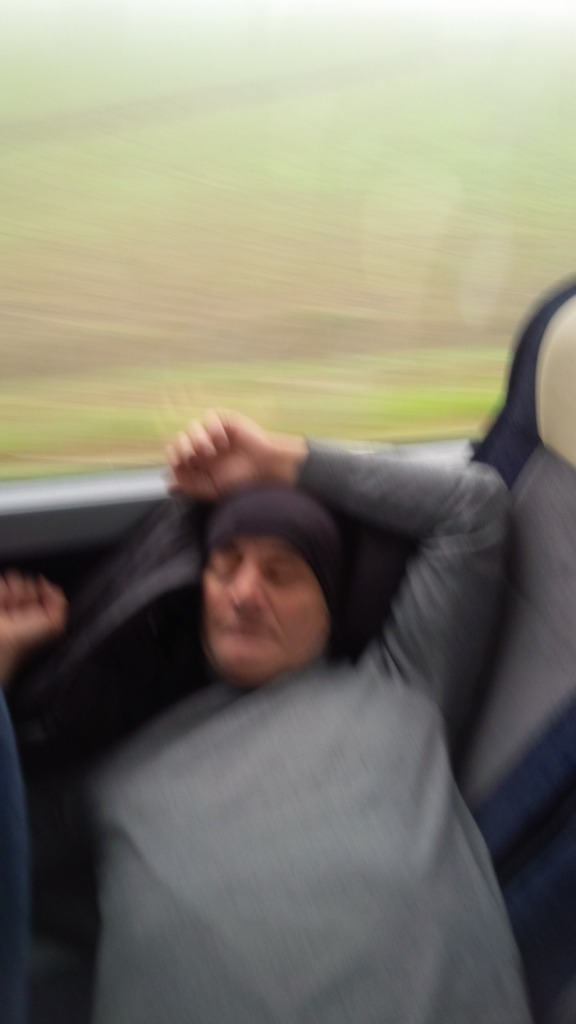 I presepi napoletani ad Alessandria - dicembre 2016: ritorno